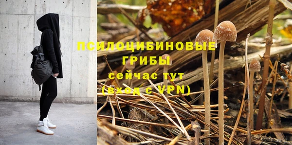 амфетамин Алексеевка