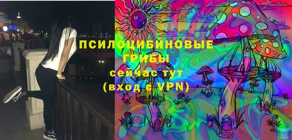 амфетамин Алексеевка