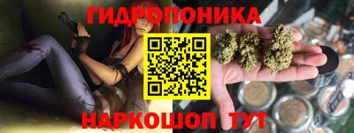 молекула духа Красноармейск