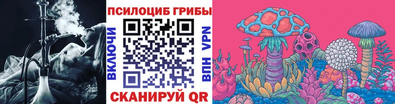 где купить   Евпатория  Галлюциногенные грибы прущие грибы 