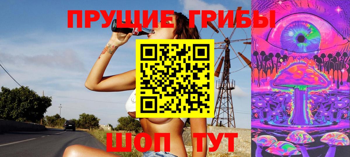 Евпатория  Псилоцибиновые грибы мухоморы  купить  сайты  Вход с VPN 